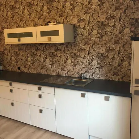 아파트 In Nahe Skipisten, Cleaning Included